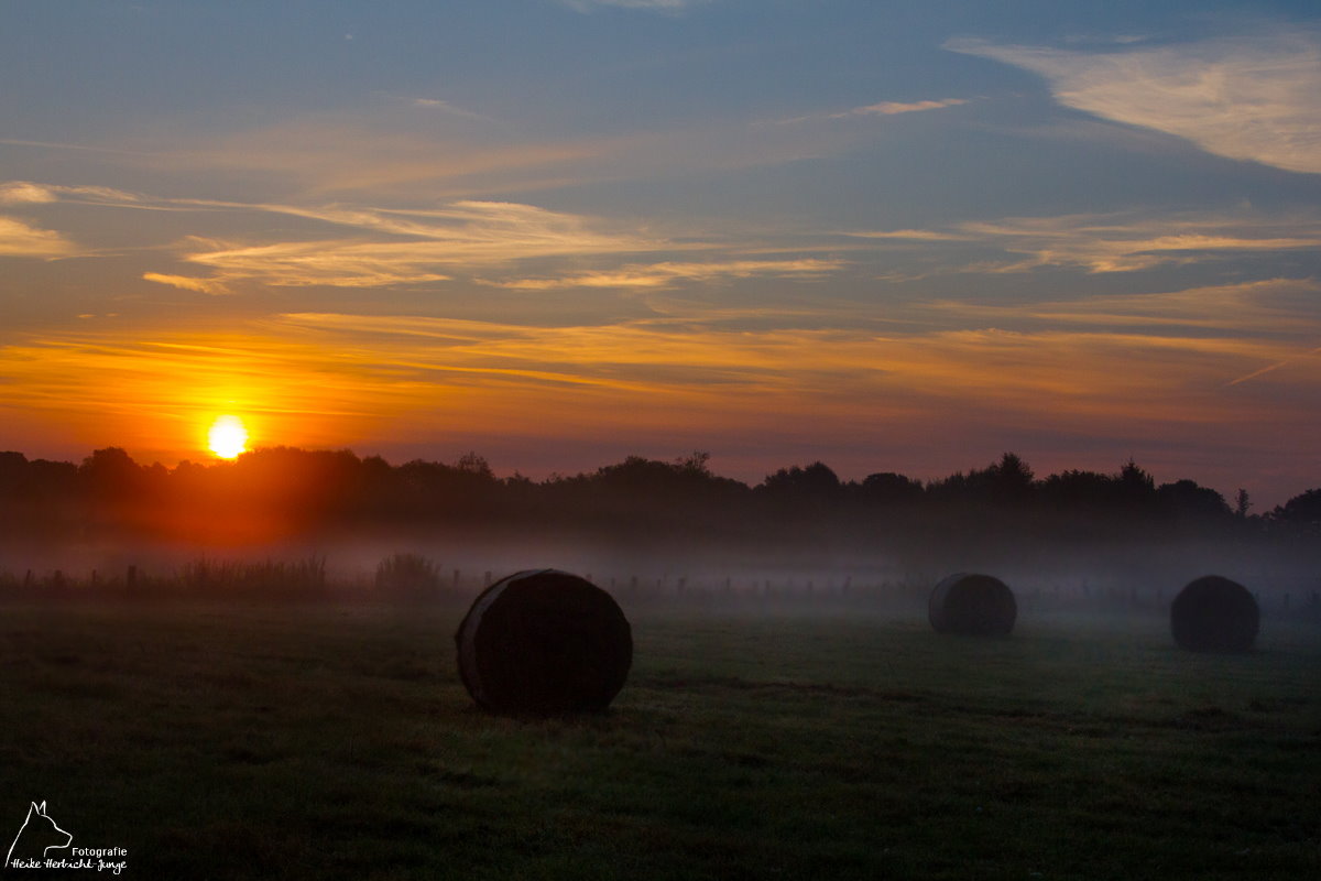 Sonne , Nebel und Heuballen