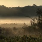 Sonne, Nebel und Kälte