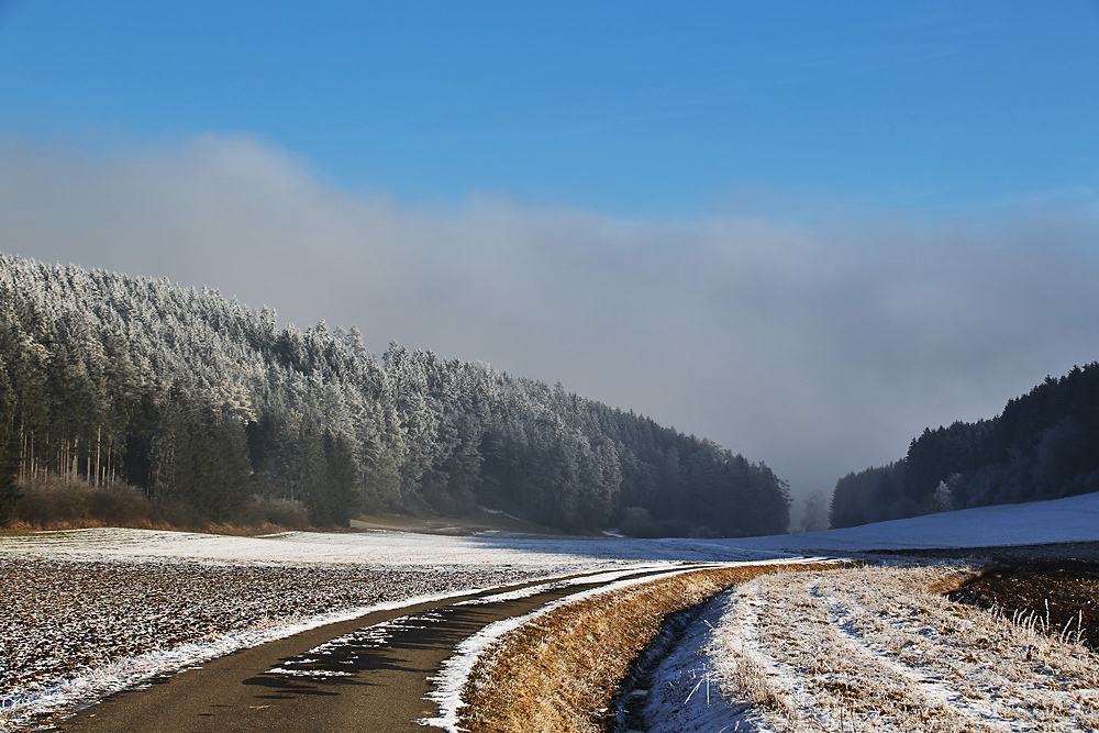 Sonne, Nebel und Raureif