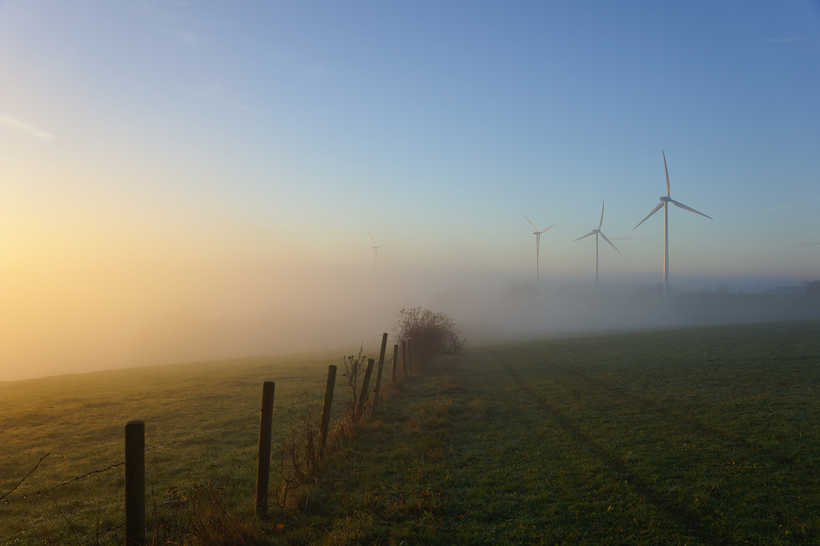 Sonne - Nebel - Wind