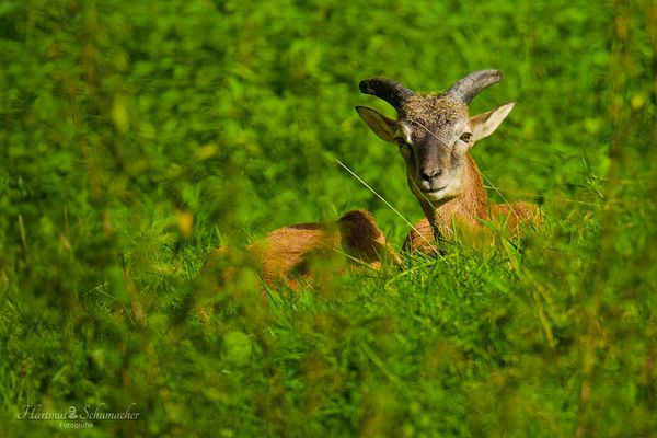 Sonne noch mal genießen 1