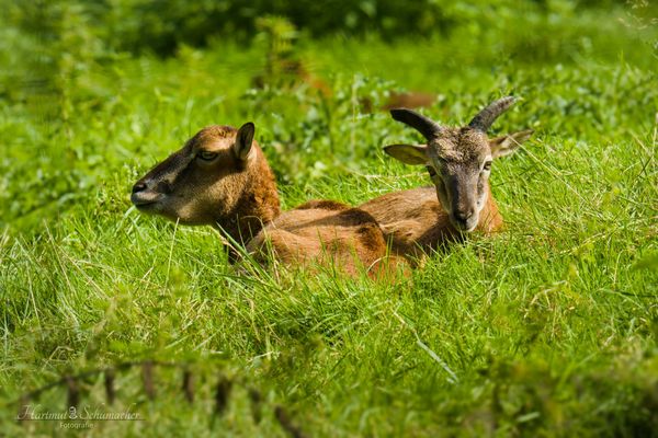 Sonne noch mal genießen