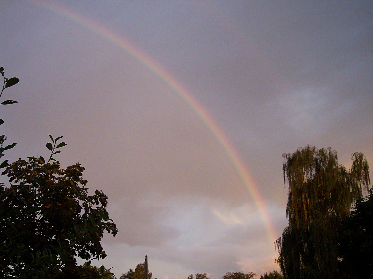 Sonne oder Regen???