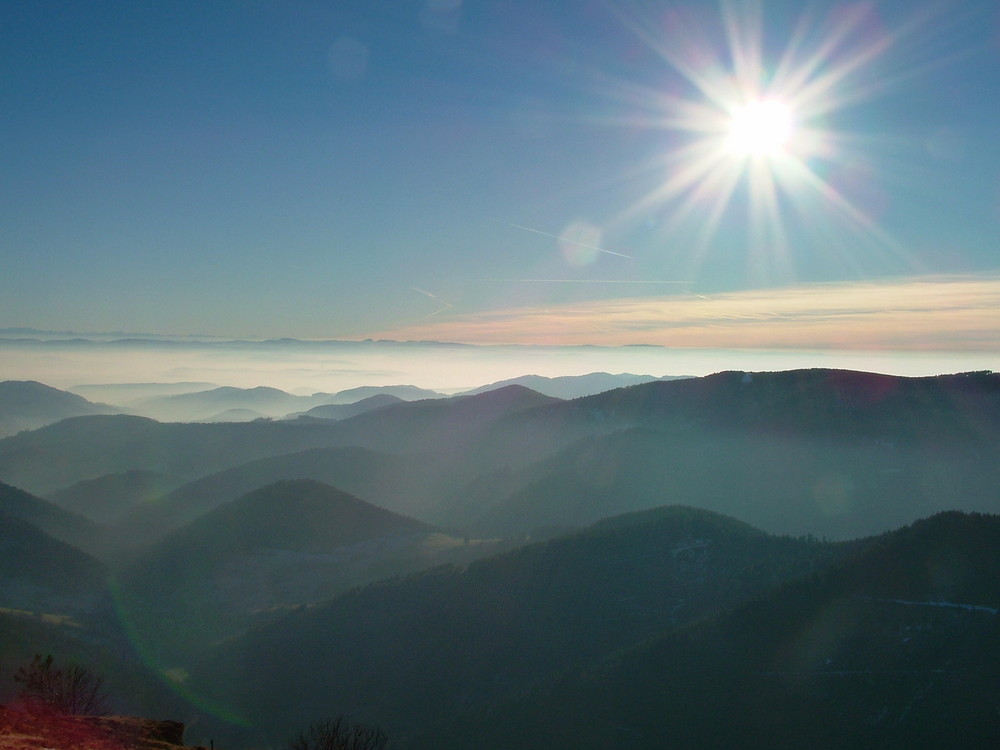 Sonne oder Stern