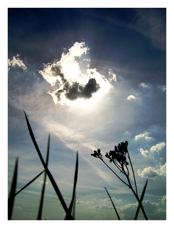 Sonne plus Wolke ist Schatten