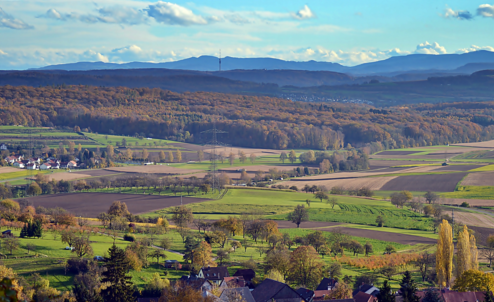 ~~~ Sonne pur im Dreyeckland ~~~