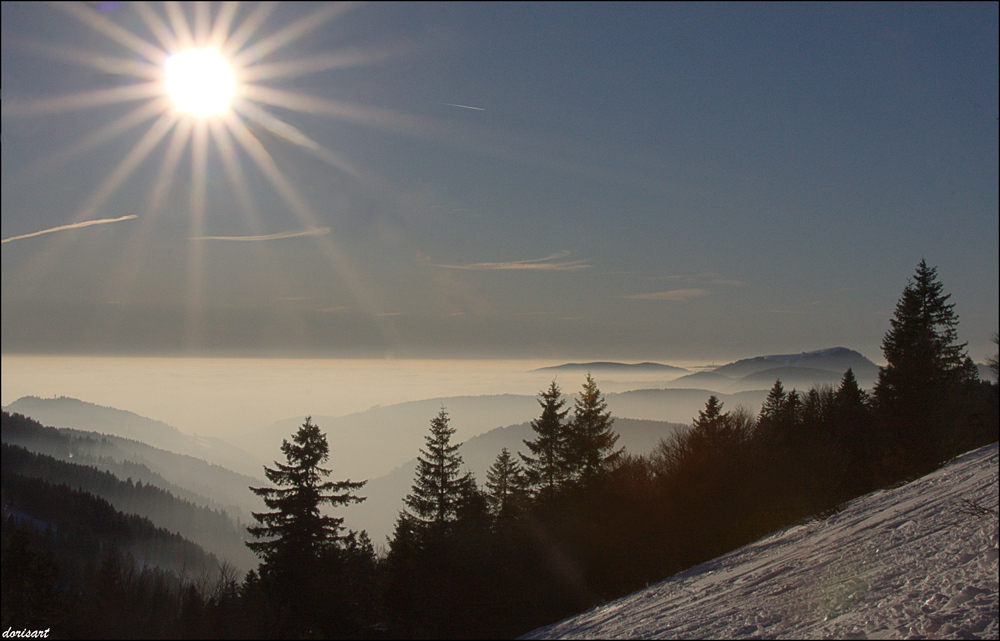 Sonne pur - in den Höhenlagen des Schwarzwalds