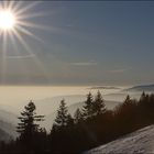 Sonne pur - in den Höhenlagen des Schwarzwalds