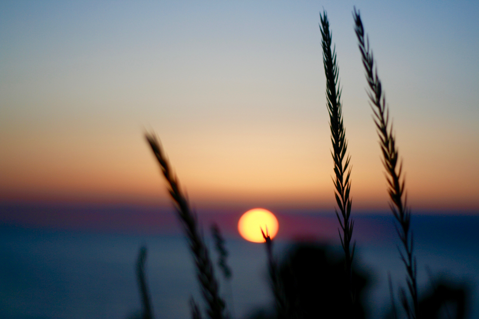 Sonne - Rügen