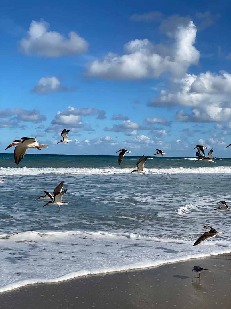 Sonne Sand und Meer