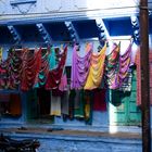 Sonne Saris und blaue Gässchen, Jodpur