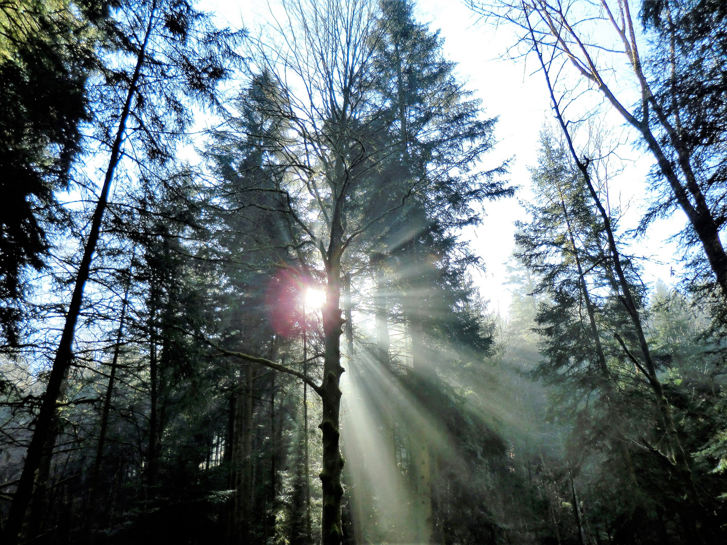 Sonne satt am Frühen Morgen 