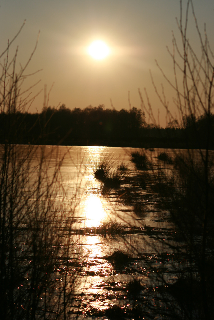 Sonne scheint auf Eis