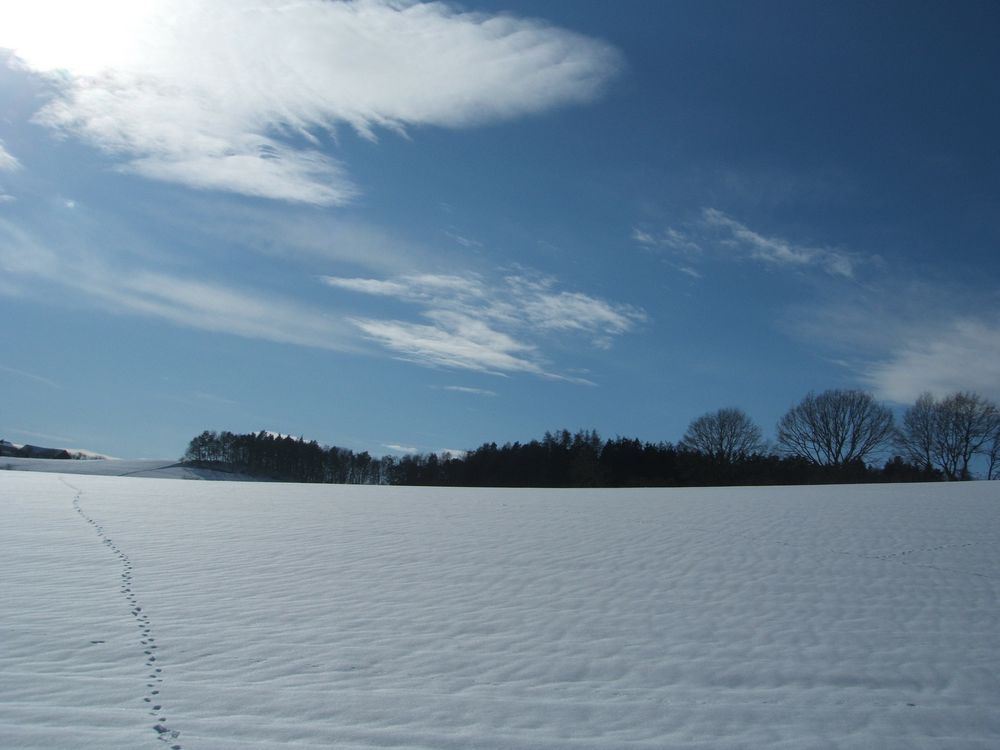 Sonne & Schnee bei Dingolfing