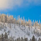 Sonne, Schnee und blauer Himmel