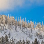 Sonne, Schnee und blauer Himmel