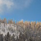 Sonne, Schnee und blauer Himmel II