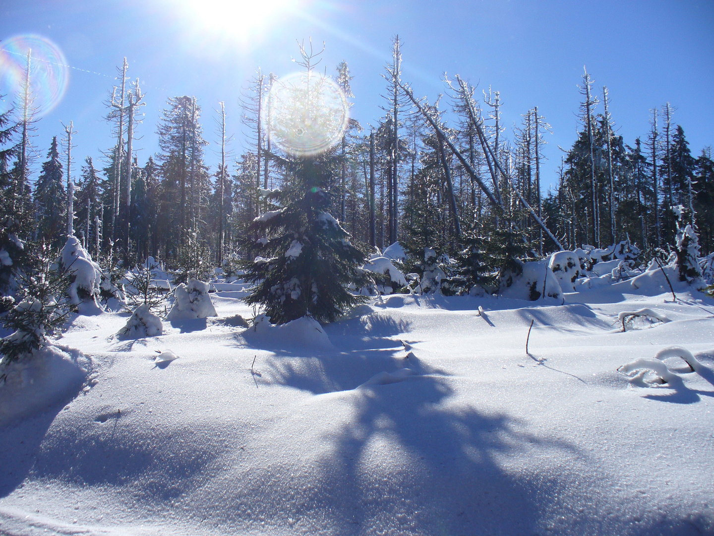 Sonne, Schnee und Eis