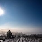 Sonne Schnee und Nebel