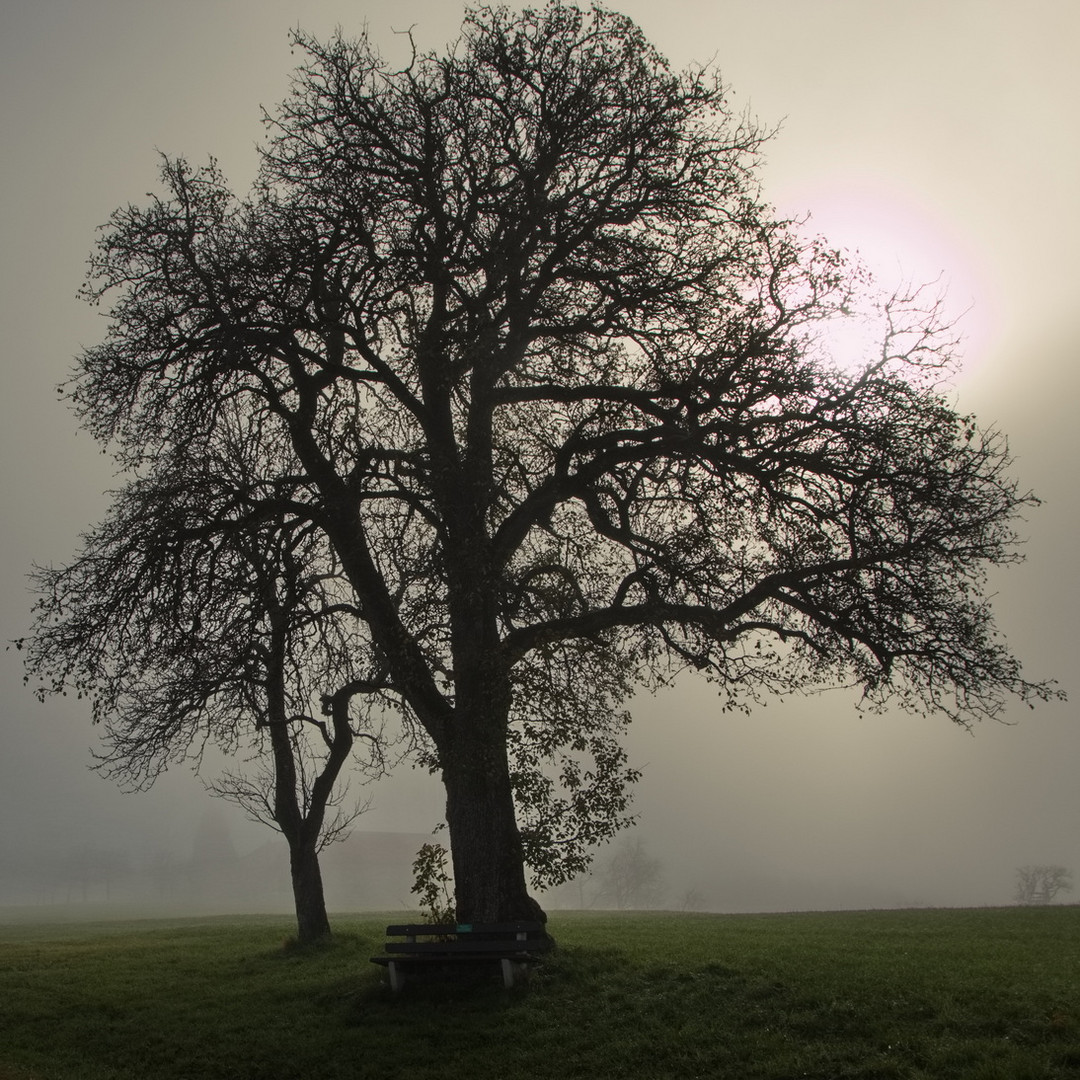 Sonne schon erkennbar