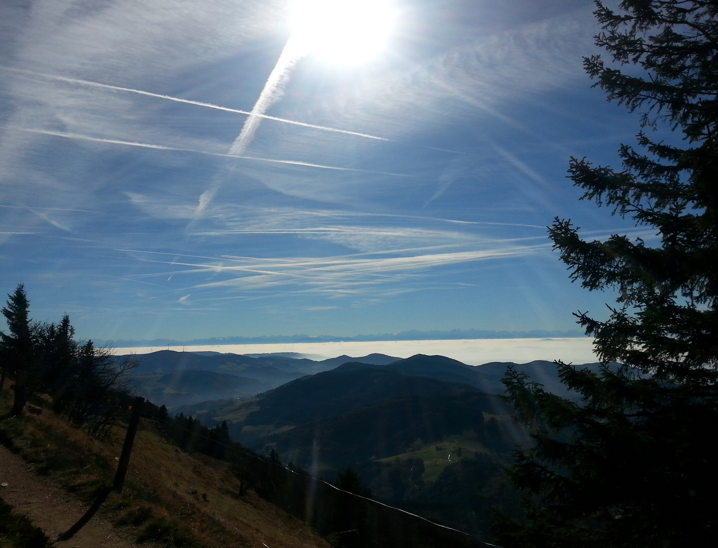 Sonne Schwarzwald