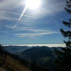 Sonne Schwarzwald