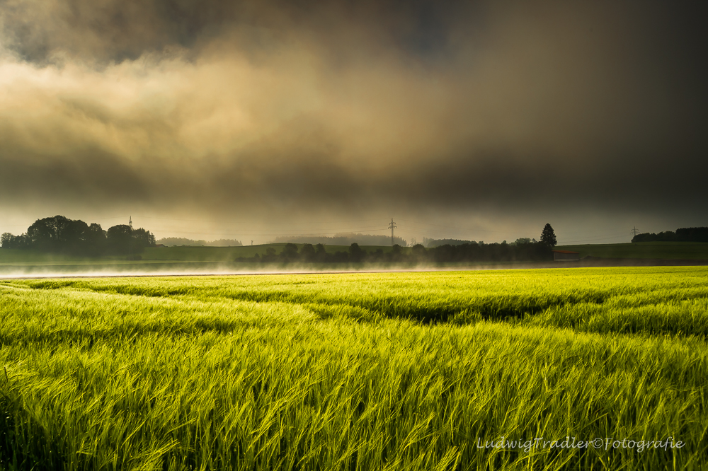 Sonne siegt über Nebel