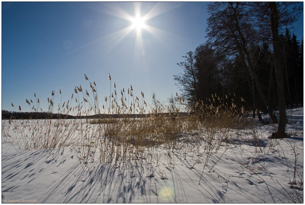 Sonne, Sonne, Sonne!