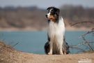 Sonne, Sonne und Strand... von Carina Bentin 