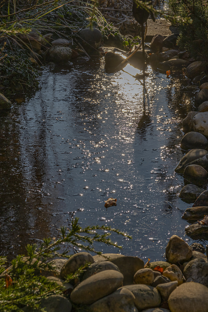 Sonne spiegelt auf dem Eis_D4A7348