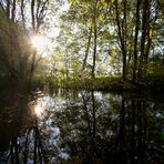 Sonne spiegelt sich frühmorgens im Teich