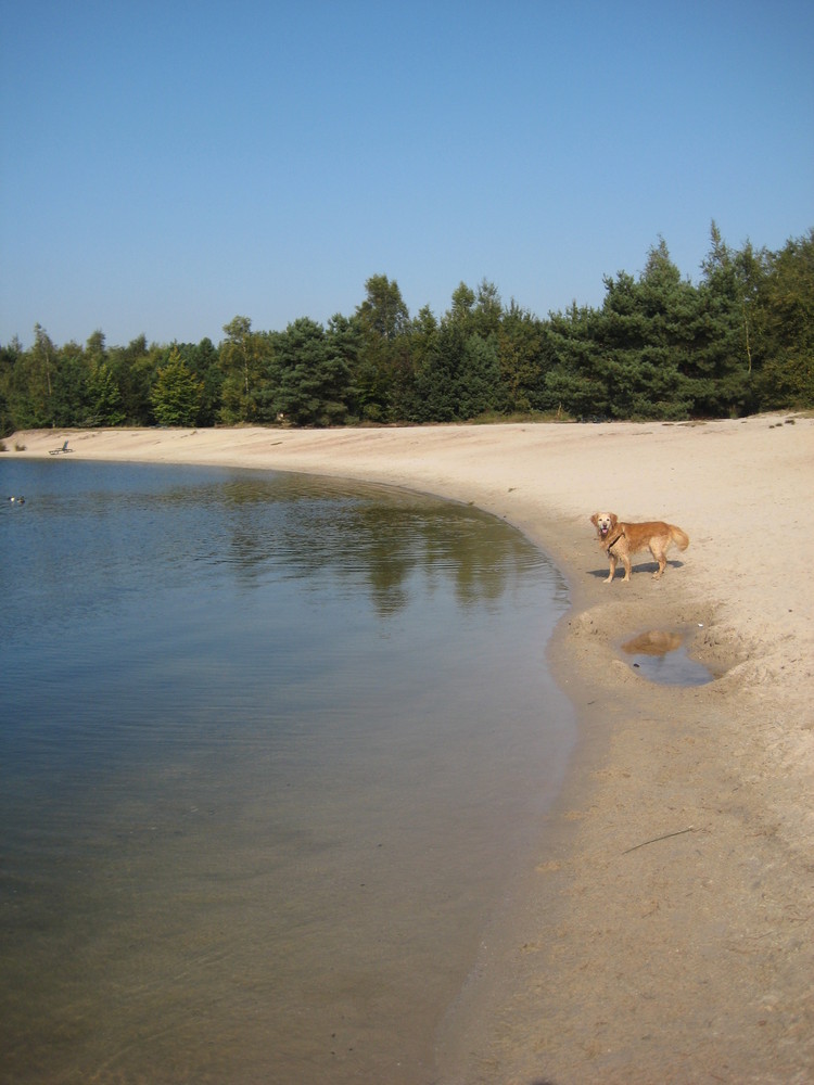 Sonne, Strand & Hund