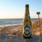 Sonne, Strand und ein Bier - was will man mehr?