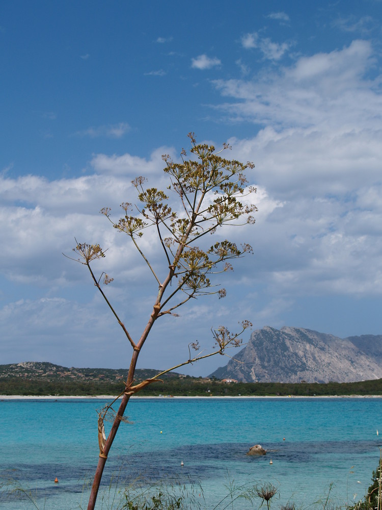 Sonne, Strand und Meer