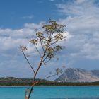 Sonne, Strand und Meer