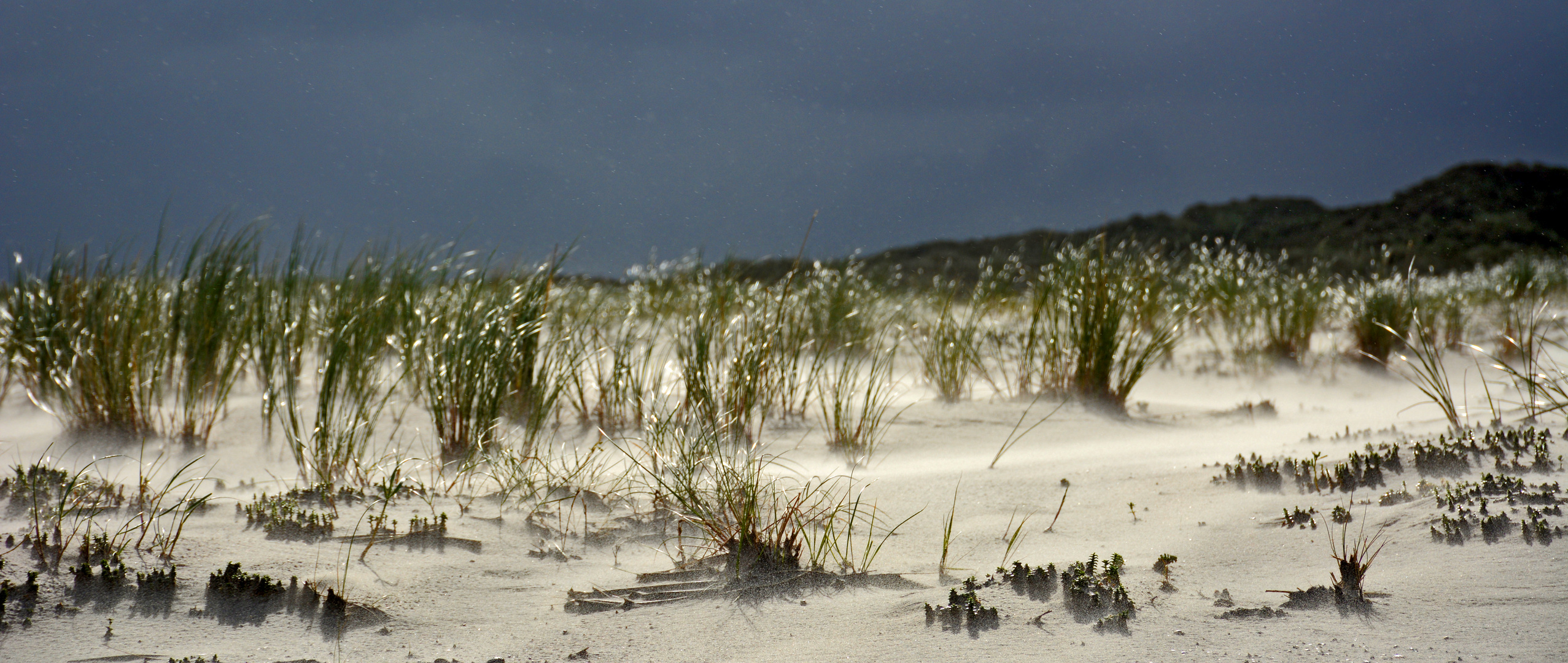 Sonne, Sturm, Sand