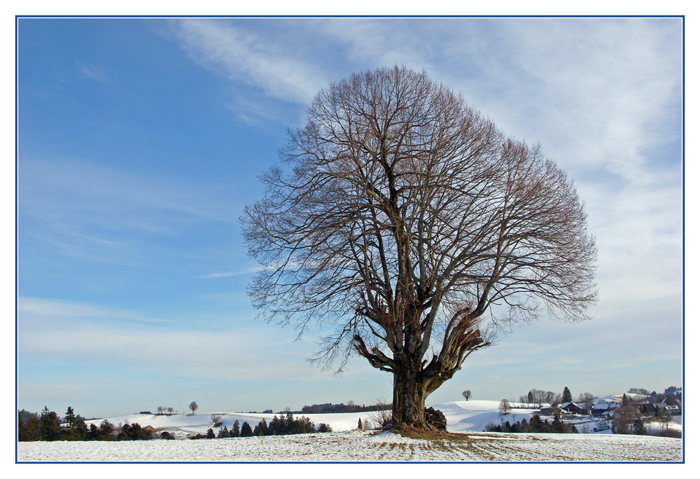 Sonne tanken...