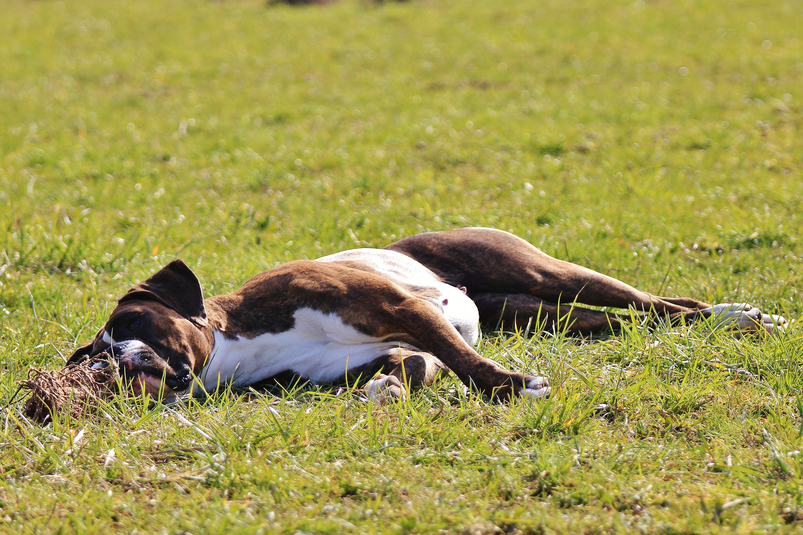 Sonne tanken 