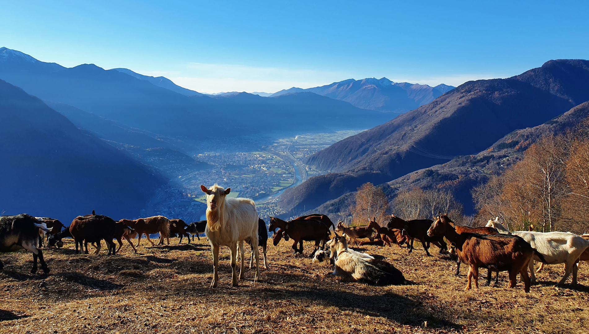 Sonne tanken im Tessin