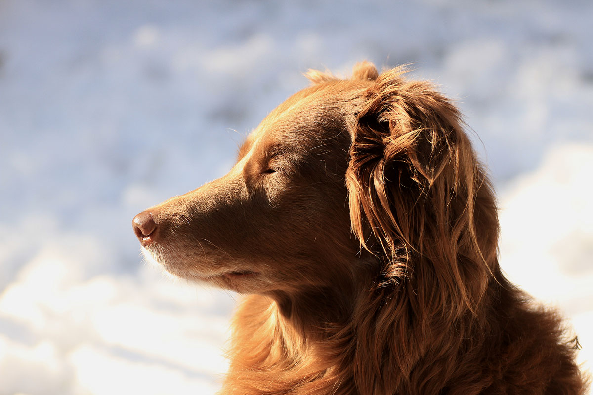 Sonne tanken solange sie noch da ist