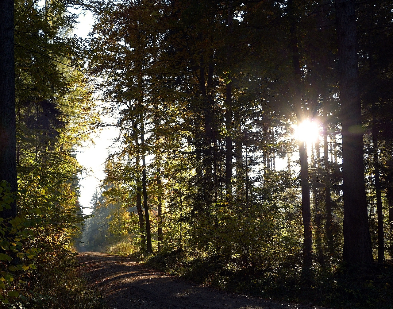 Sonne tanken. Wärme genießen. Seele schwingen.