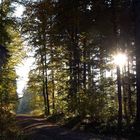 Sonne tanken. Wärme genießen. Seele schwingen.