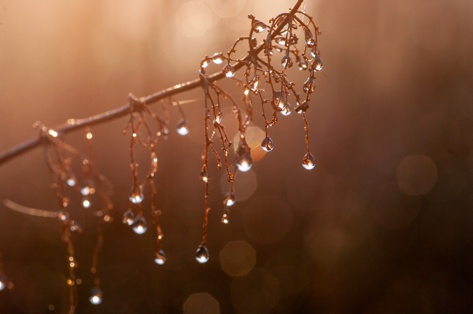 Sonne trifft auf Frost