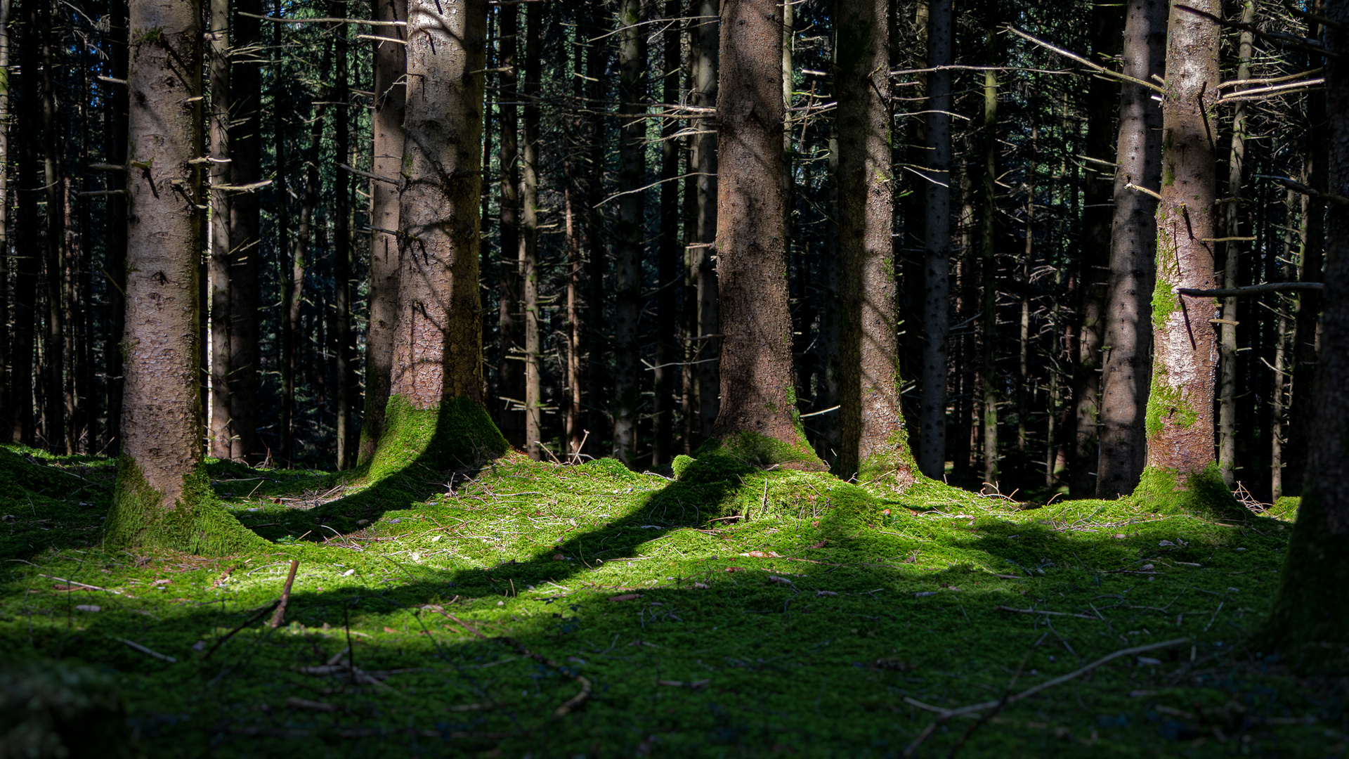 Sonne trifft auf Schatten