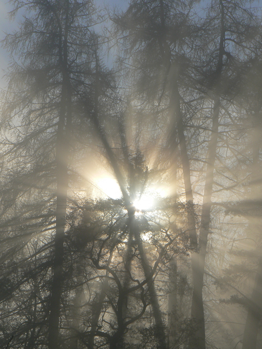 Sonne trifft Nebel 1