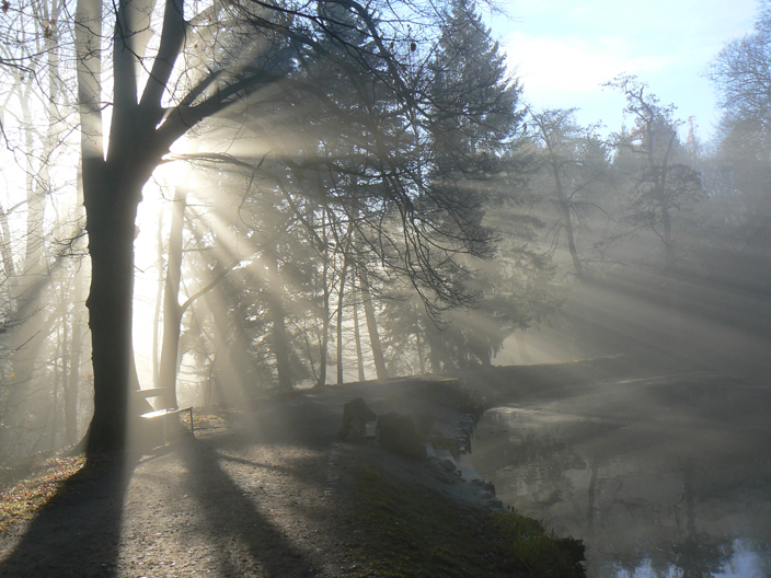 Sonne trifft Nebel 2