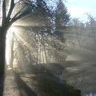 Sonne trifft Nebel 2