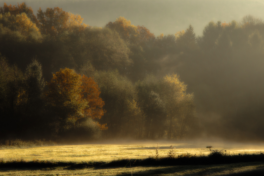 Sonne trifft Nebel