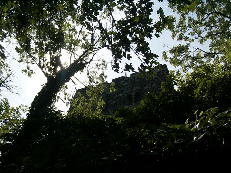 Sonne über dem Drachenfels von Jörg Steffens