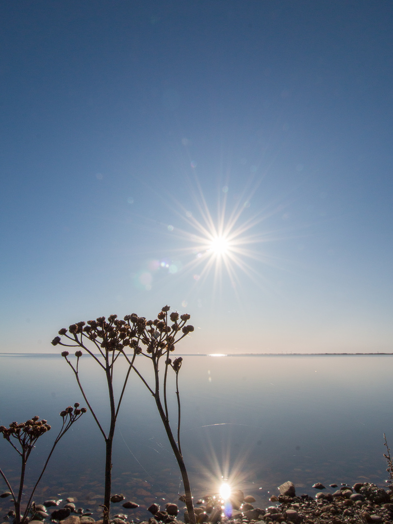 Sonne über dem Fjord